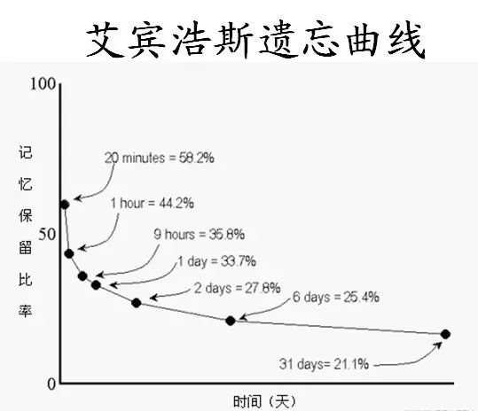 背英语思维缓慢_缓慢思维背英语单词_缓慢思维背英语有用吗